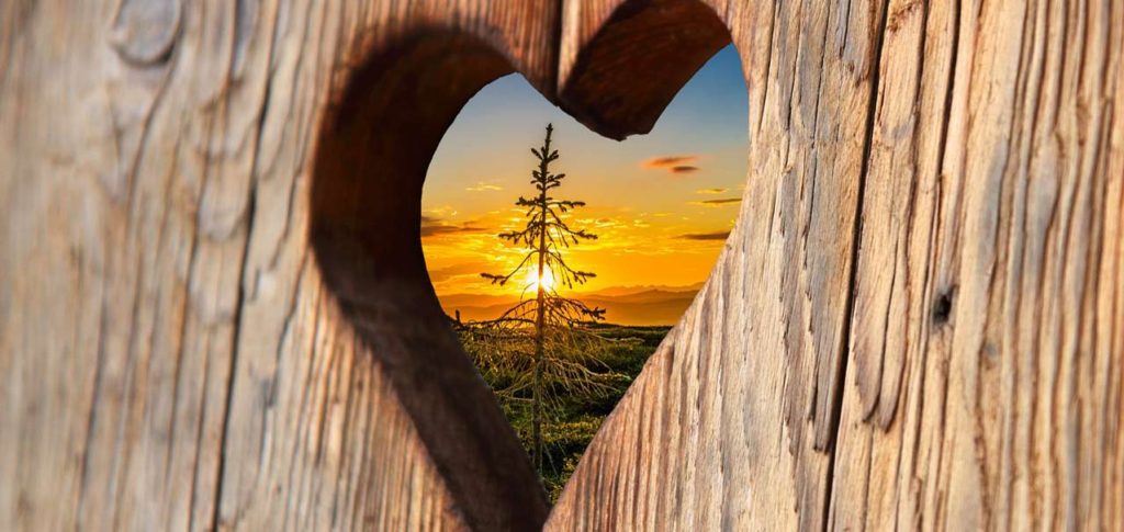 Practical, Honorable